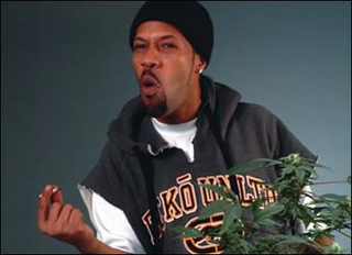 Illustration for article titled 35 Celebrities Who Smoke Pot